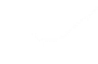 Non-DominantHand_CleanBackground-ezgif.com-crop (1).gif